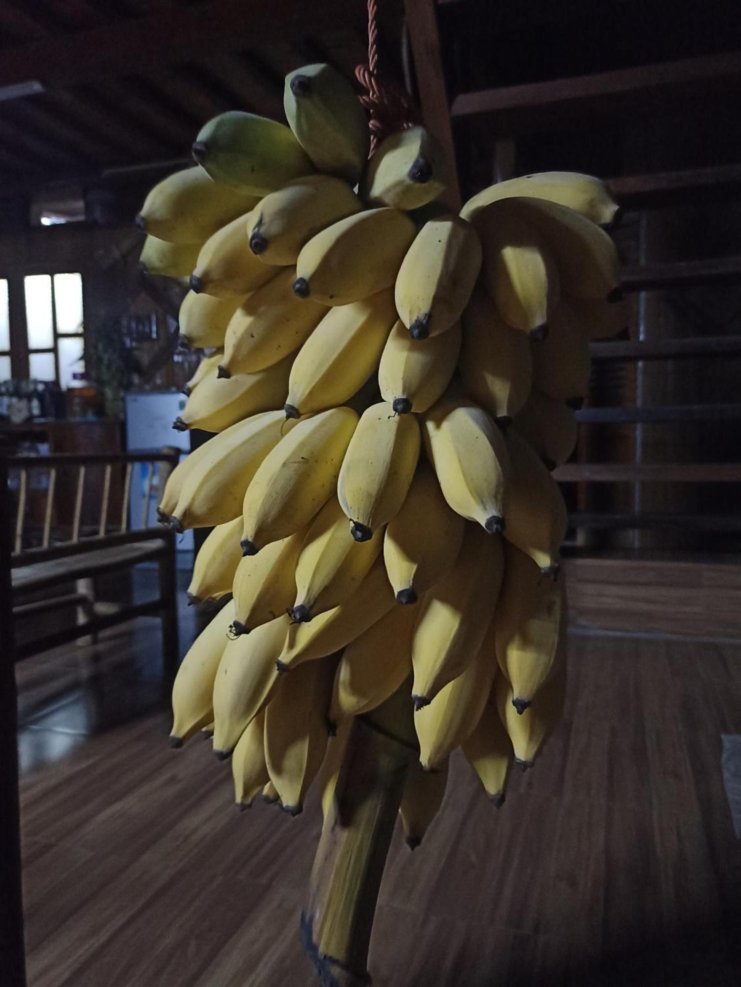 Thao Ly Homestay Mai Chau Hòa Bình Exterior foto