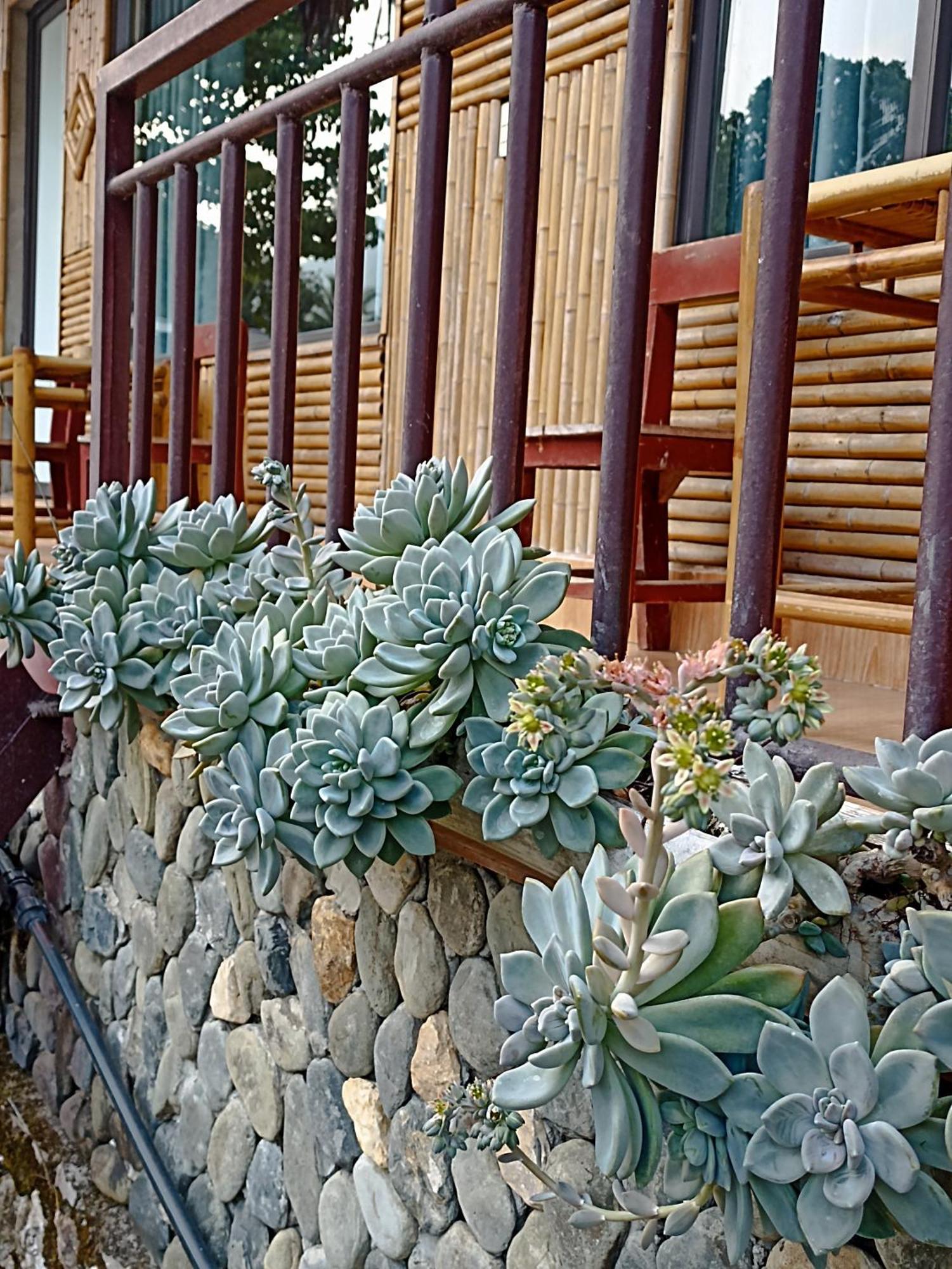 Thao Ly Homestay Mai Chau Hòa Bình Exterior foto